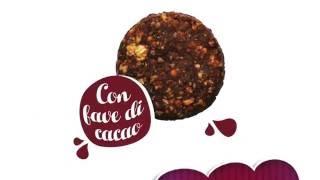 Cereal cacao beans biscuits - Italian manufacturing b2b vendors