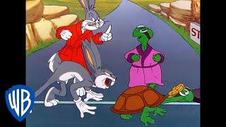 Looney Tunes | The Hare and Tortoise Re-Race | Classic Cartoon | WB Kids