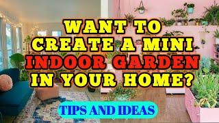 Want to Create a mini Indoor garden in your home? Tips & Ideas