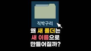 새 폴더는 왜 새 이름으로 만들어질까? #shorts