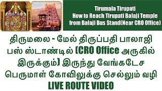 How to Go to Tirupati Balaji Temple from Tirumala Balaji Bus Stand (Near CRO Office) - Live Route