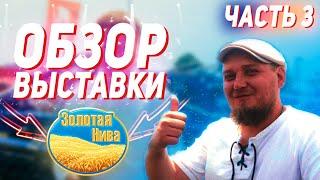 ЗОЛОТАЯ НИВА 2024 | Усть-Лабинск | ЧАСТЬ 3 | ОБЗОР ВЫСТАВКИ