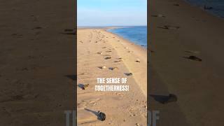 COME SAIL WITH US! | The sense of togetherness!