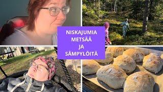 NISKAJUMIA JA SÄMPYLÖITÄ  