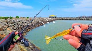 ESSE LUGAR SÓ TEM ROBALÃO!!! PESCARIA DE ROBALOS NAS PEDRAS COM CAMARÃO ARTIFICIAL!!