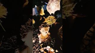 Lucid Dreaming: Tip #2 #storytime #brainhacker #brainhacks #lifehacks #fairy ##journal #writing