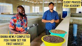 FISH ACADEMY NEWLY COMPLETED FISH FARM IN GHANA READY FOR FIRST HARVEST AS CLIENT AS CLIENT REJOICE.