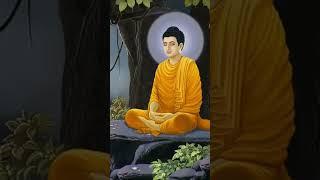 영인스님 나무아미타불 정근 매일 들어라 행운이 올 것이다 #mantrameditation #religion #meditation #meditationpractice