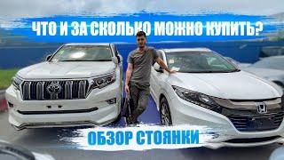 Актуальные ЦЕНЫ на автомобили из Японии  Что и за сколько можно привезти