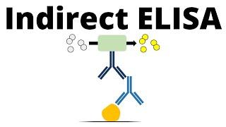 Indirect ELISA in 1 minute