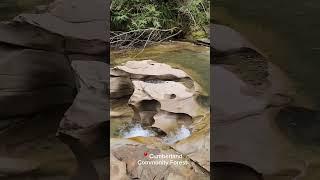 Island Beauty Cumberland Community Forest #buhaycanada #bisdak #vanisland