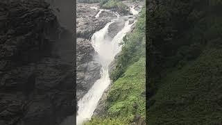 Shivanasamudra  #shivanasamudra #gaganachukki #travel #shorts