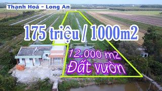 Số 66: [ĐÃ BÁN]Đất vườn Thạnh Hóa Long An giá rẻ 175 triệu 1000m2 cách QL62 chỉ 700m