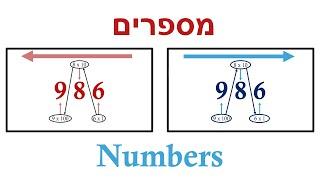 The Direction of Numbers