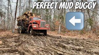 INSANE MUDDY LOGGING