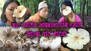 हाम्रो जङ्गलमा अहिलेको समयमा पनी च्याउ भेटिन्छ || Wild Mushroom  hunting in Nepal