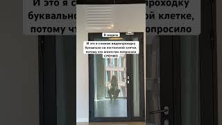 И другая модельная жиза в тг канале в шапке профиля