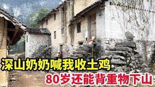 深山里80岁奶奶喊我进山收土鸡，用土鸡招待我，还能背重物下山【山农乐哥】