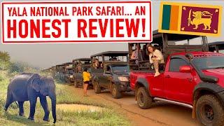 Should you visit YALA national park in Sri Lanka? An HONEST Review