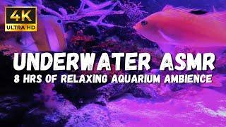 Underwater ASMR Sounds: Relax to this white noise video soothing Underwater