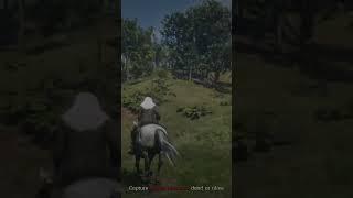 How Not to Ride a Horse 2025 Red Dead 2 Online Posse Bounty