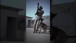 Squad K9 Training #shorts #shortsvideo #dog #specialforces #k9 #training #tutorial