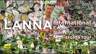 LANNA International Exotic Plants Thailand - Part 3 | Non-Aroids Tour - Fantastic Diversity!