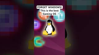 FORGET WINDOWS! This is the ULTIMATE GAMING OS!!!