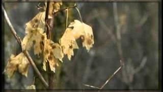 Mark Rownd - A Moment Alone - www.jhanamusic.com - 5.1 surround music