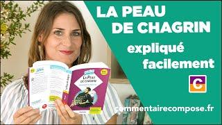 La peau de chagrin, Balzac : fiche de lecture et analyse pour le bac de français 2025 !