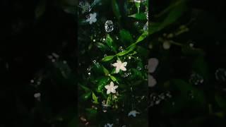 Wait for the fake rain ️ | Rain video ideas #shorts