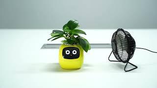 Ivy - A Smart Planter with Endless Fun