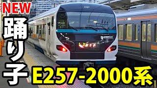 【新型特急】踊り子号にE257系2000番台デビュー！《伊豆急下田駅→熱海駅》3/14-05