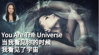 【灵魂校准/Soul Alignment】内在整合与阴暗面清理：情绪体+心智体/Shadow Self: Emotional and Mental Body Integration 432Hz