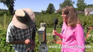 EcoBeneficial Interview: Bee Houses and Bumblekultur With John Hayden