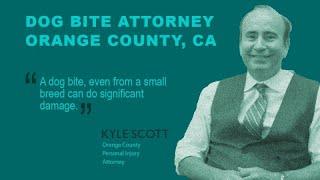Dog Bite Attorney Orange County, CA | Kyle Scott – 714-544-1460