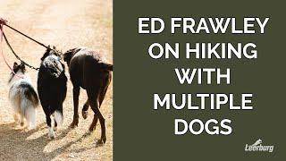 Ed Frawley on Hiking with Multiple Dogs