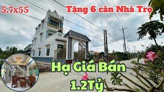 Chủ Ngộp Hạ Giá Bán 1.2Tỷ - Tặng 6 căn nhà Trọ 5.7x55 Gần Ql50 Cầu Mồng Gà |Nhà Đất bình chánh