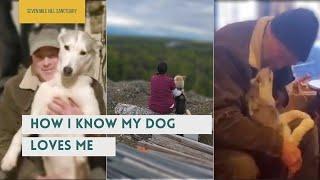 HOW I KNOW MY DOG LOVES ME!  Seven Mile Hill Sanctuary Alaskan Frontier Journey