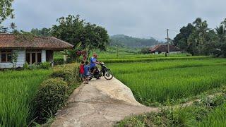 Suasana Sore, Kehidupan di Pedesaan Jawa Barat yang Nyaman, Kampung dengan Sawah dan Sungai