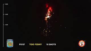 P5157 TOO FISHY 10'S WINDA FIREWORKS