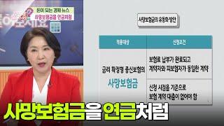 사망보험금을 연금처럼 [무엇이든 물어보세요] | KBS 250318 방송