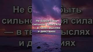 Больше видео в inst: @timur.shorabekov