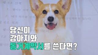 [감동영상] 당신이 강아지와 동거계약서를 쓴다면?