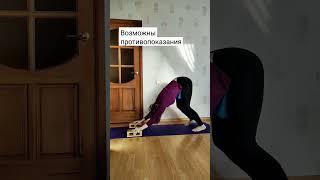 собака мордой вниз. йога.