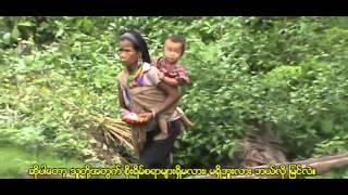 What villagers from Shadaw Township in Southeast Myanmar say...