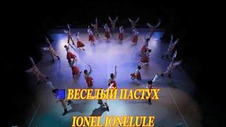 Веселый пастух( ionel ionelule)-Караоке на русском