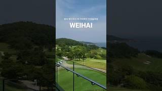 중국 위해 골프여행 꼭 가봐야하는 골프장 #shots