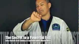 GQ Dojo Proper Fist Secret