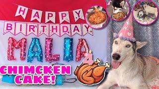 We Had A Party! | Made A Chimcken Cake! | Husky Pack TV